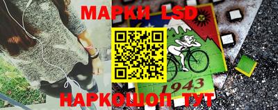 прущие грибы Можайск