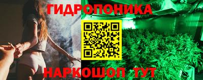 прущие грибы Можайск