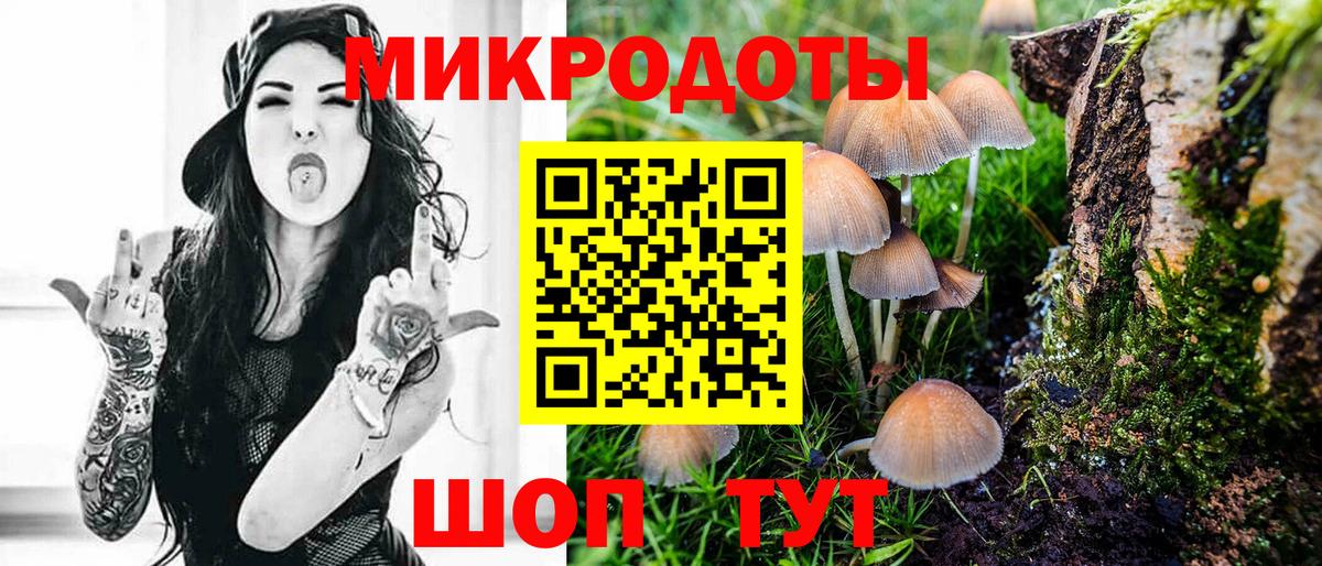 Псилоцибиновые грибы мицелий Сухой Лог
